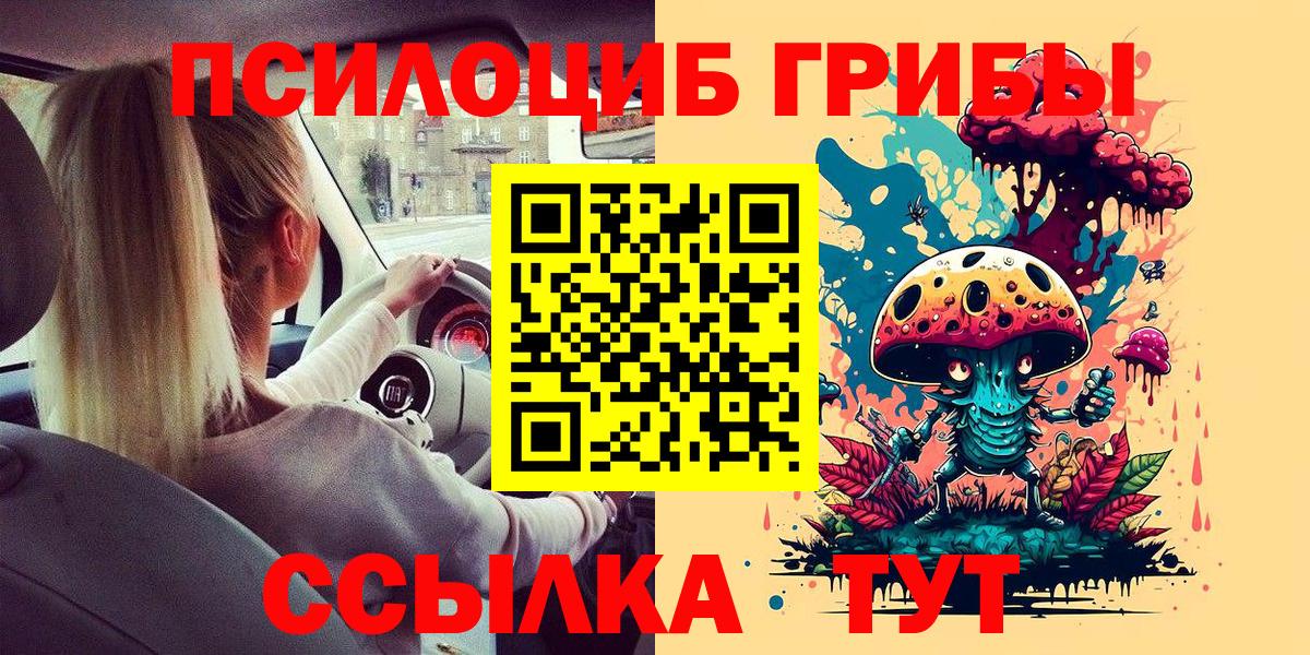 Псилоцибиновые грибы Psilocybe Белогорск
